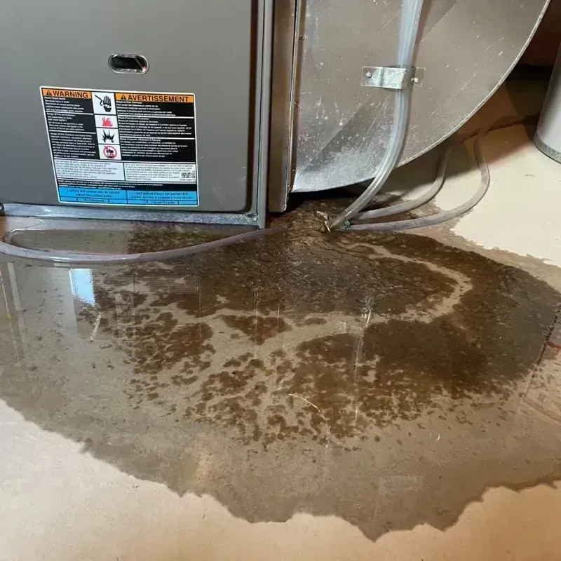 Appliance Leak Cleanup in Bethany, WV